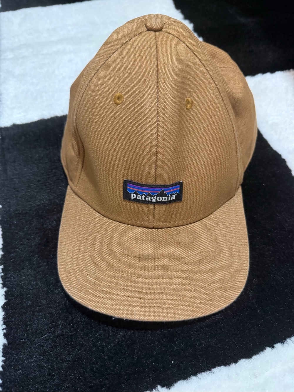 Patagonia Tan Canvas Baseball Cap with Logo Patch